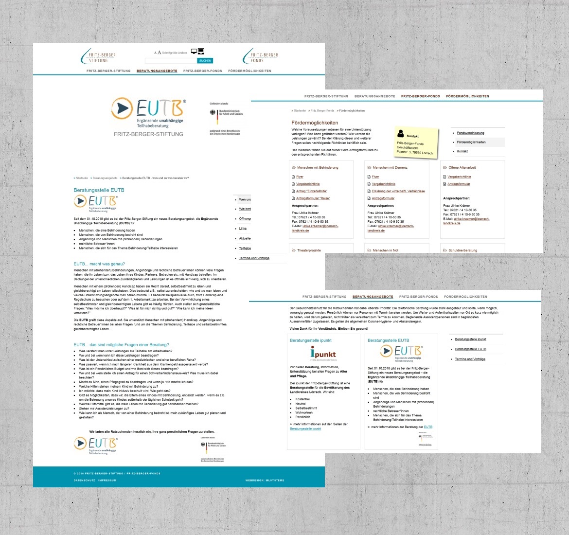 Webdesign-Referenz: Fritz-Berger-Stiftung