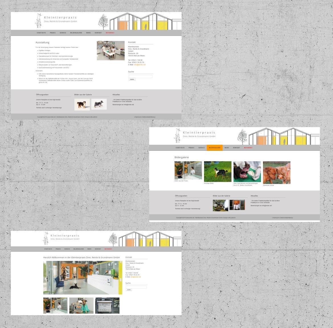 Webdesign-Referenz: Kleintierpraxis Dres. Reinle & Grundmann GmbH